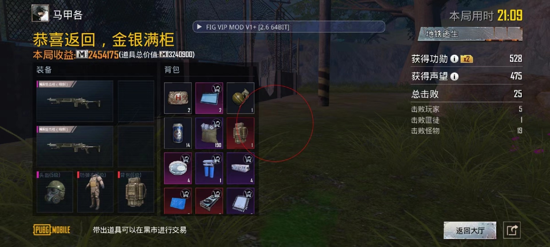 手机和平精英辅助透视